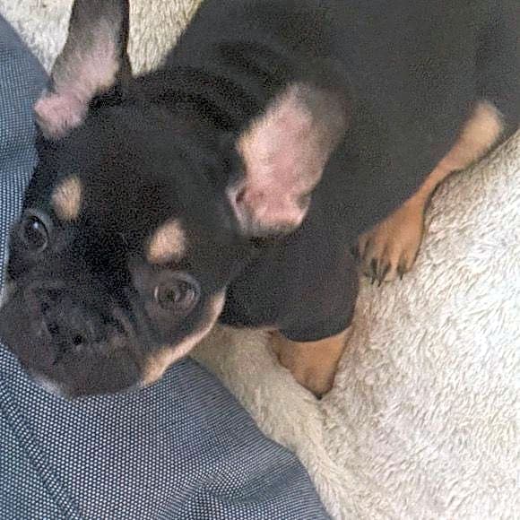 Photo of Sally