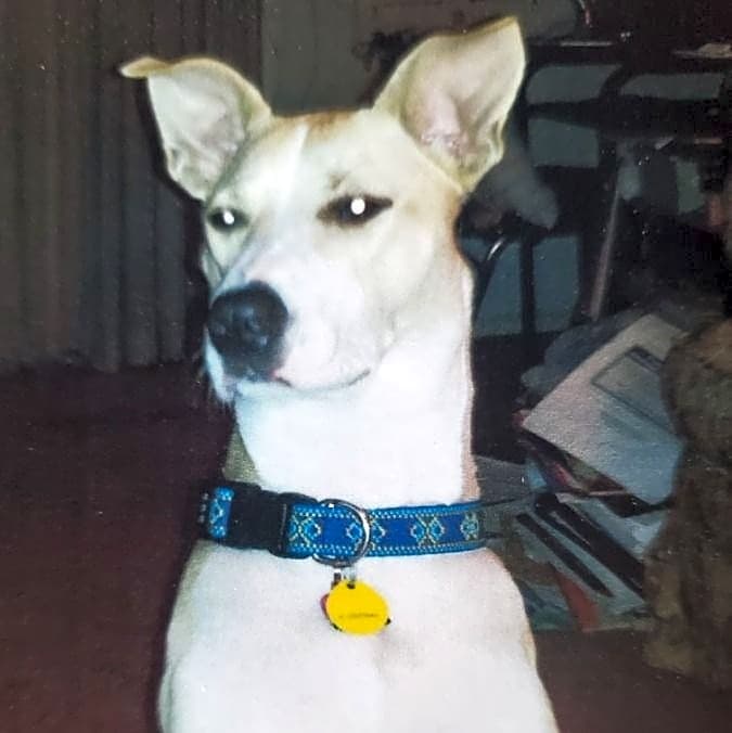 Photo of Sassy