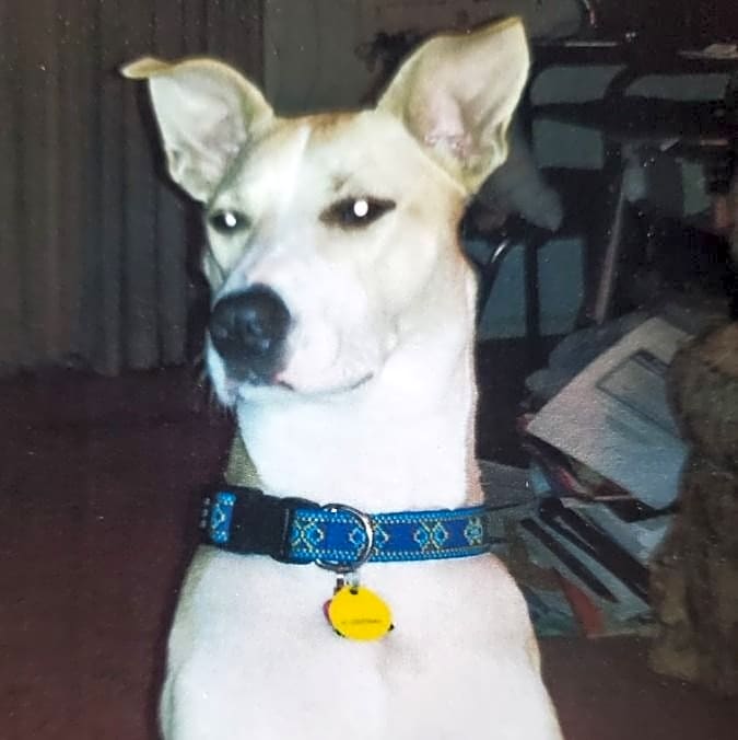 Photo of Sassy