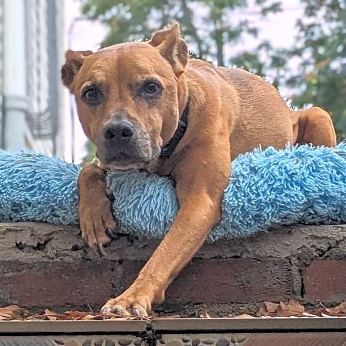 Photo of Rizzo