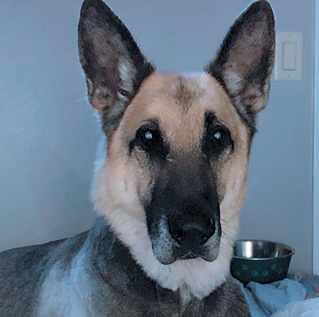 Photo of Spencer