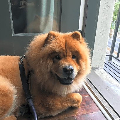 Photo of Teddy