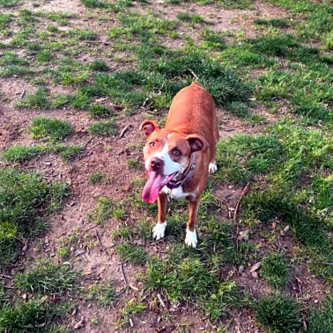 Photo of Frankie
