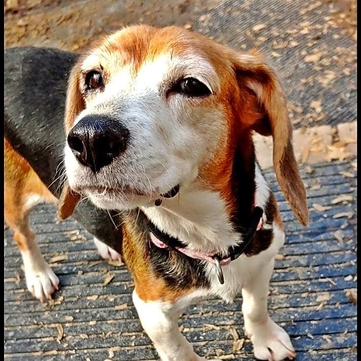 Photo of Daisy Mae
