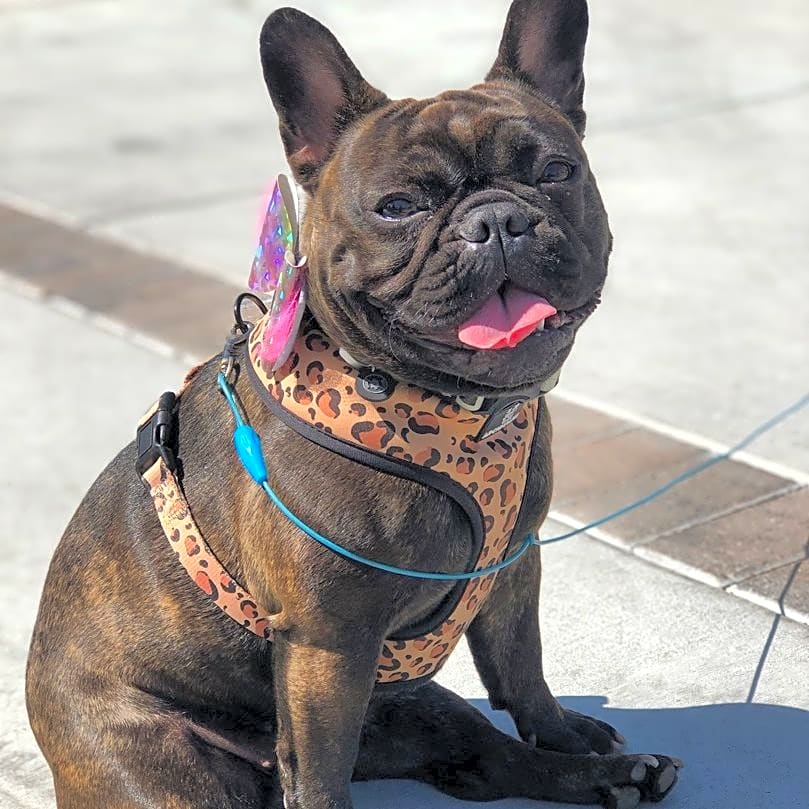 Photo of Sasha