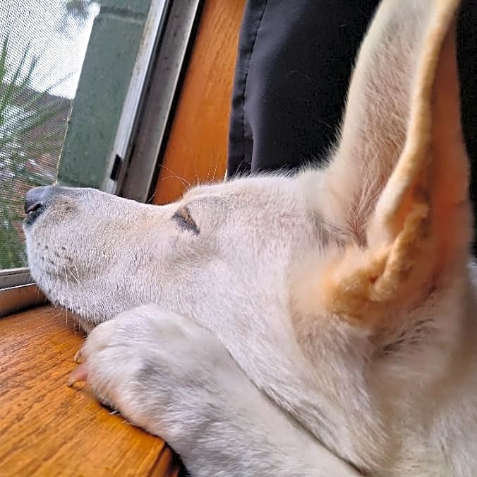 Photo of Sasha