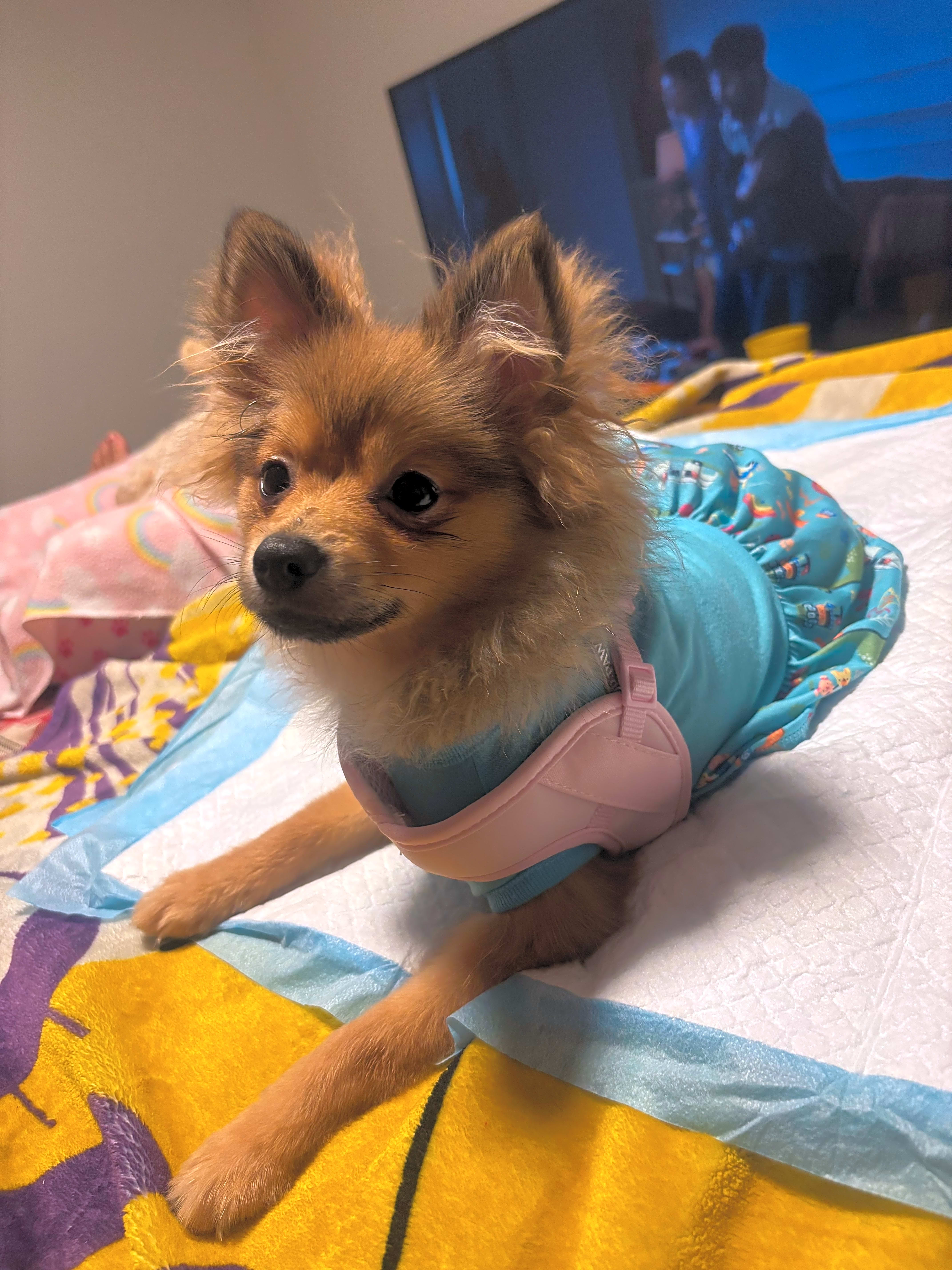 Photo of Sophia