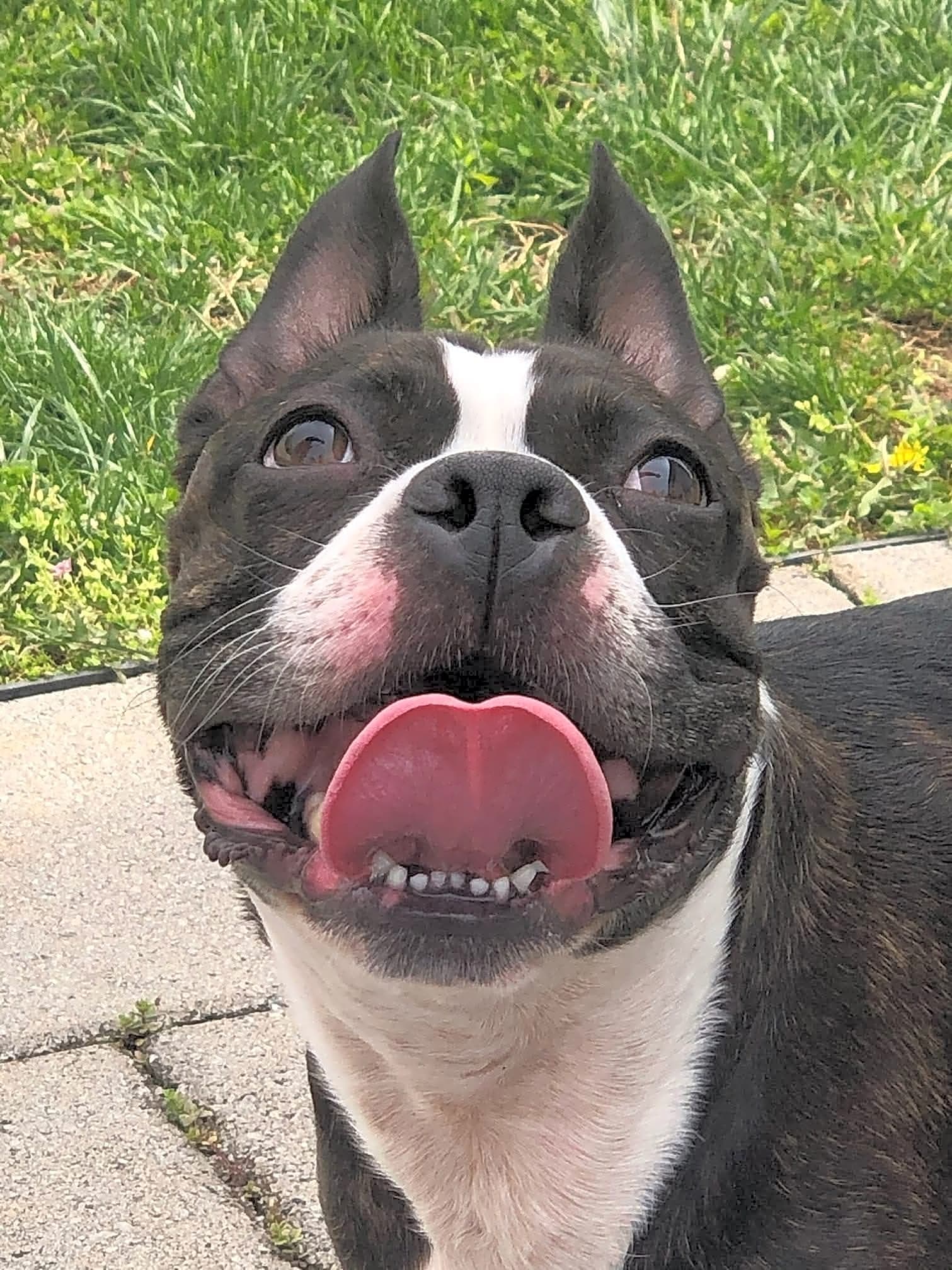 Photo of Jiggy