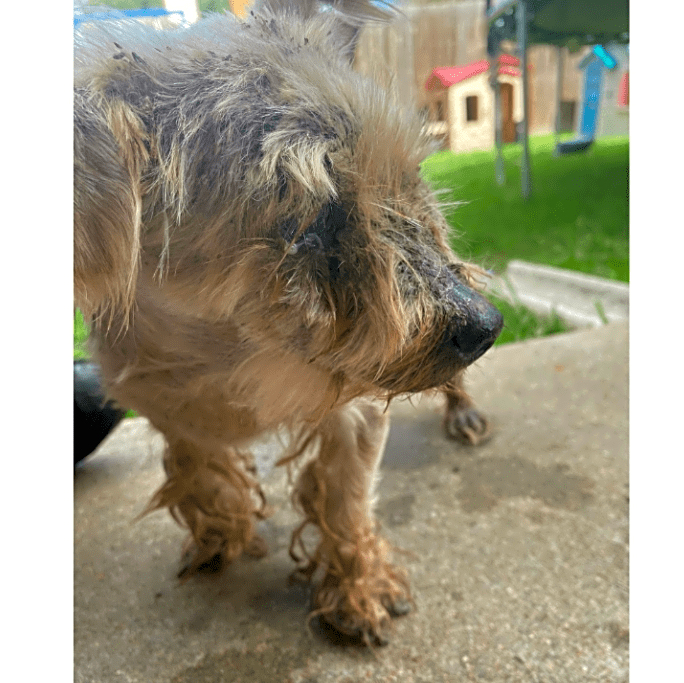 Photo of Winky Leslie