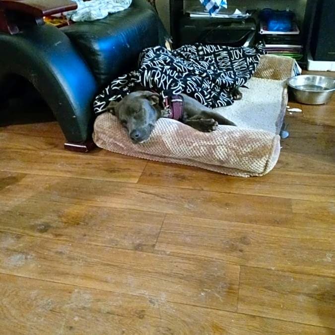 Photo of Princess
