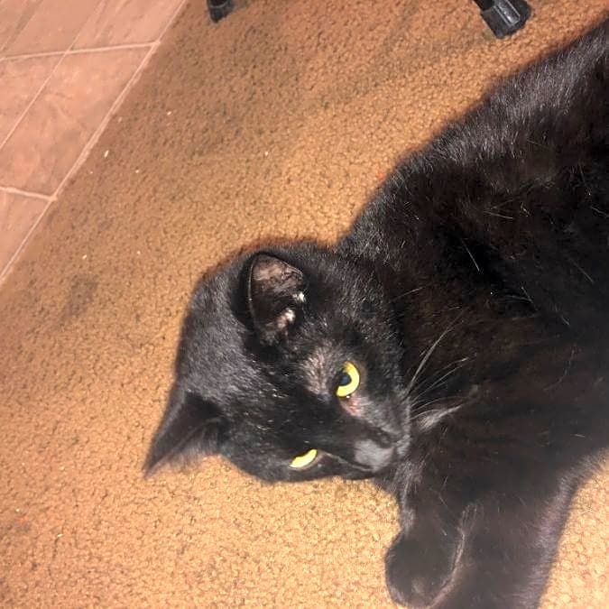 Photo of Tom