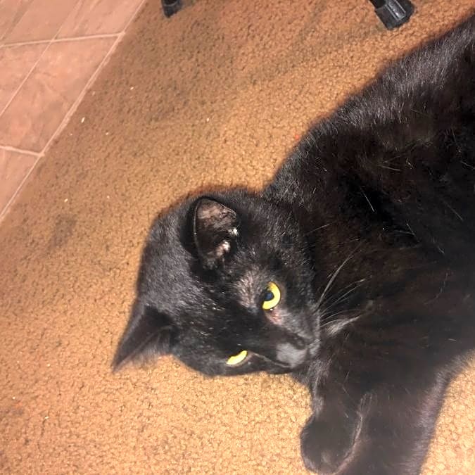 Photo of Tom