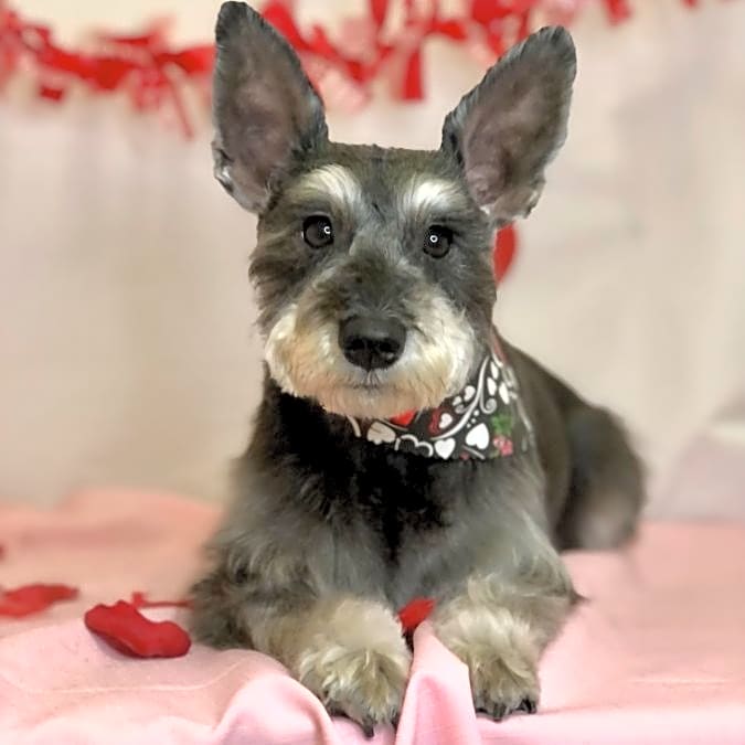 Photo of Macie