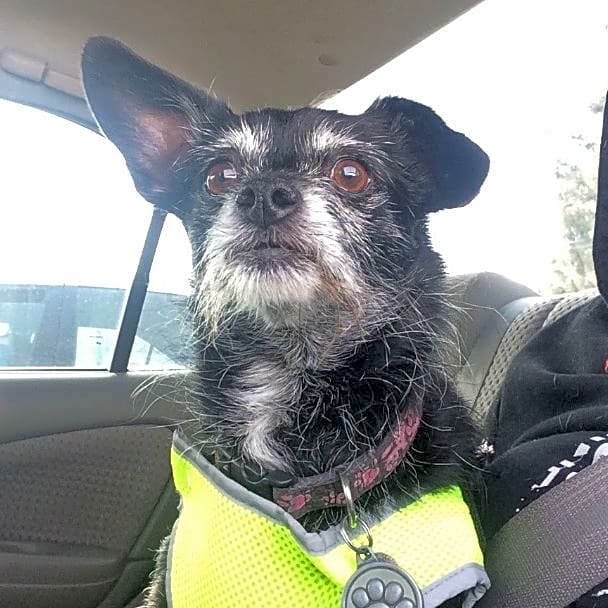 Photo of Mitzy
