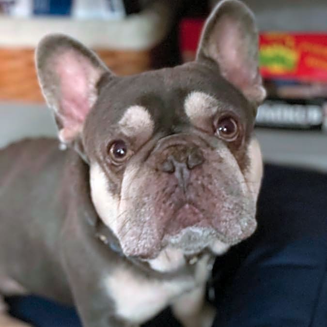 Photo of Frosty