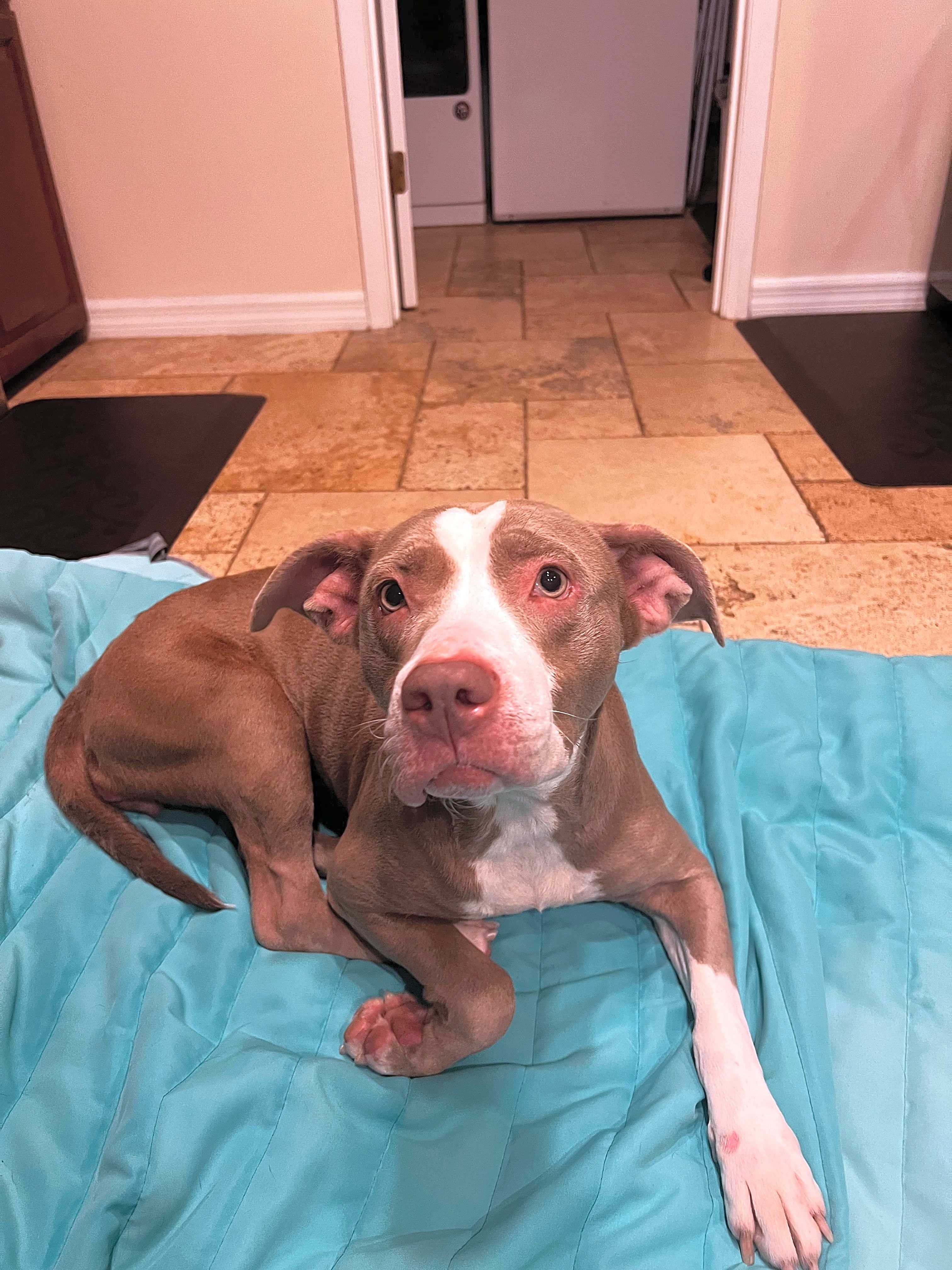 Photo of Athena
