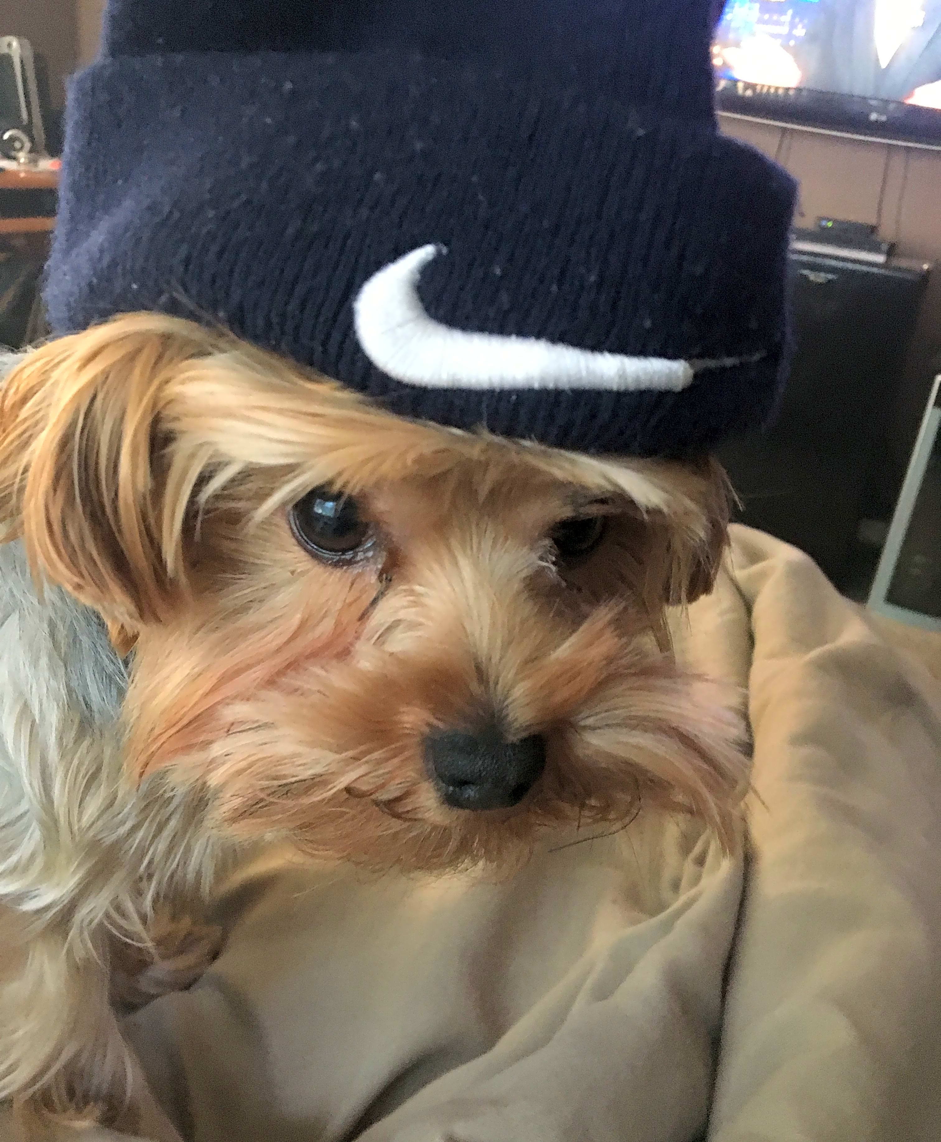 Photo of Oliver