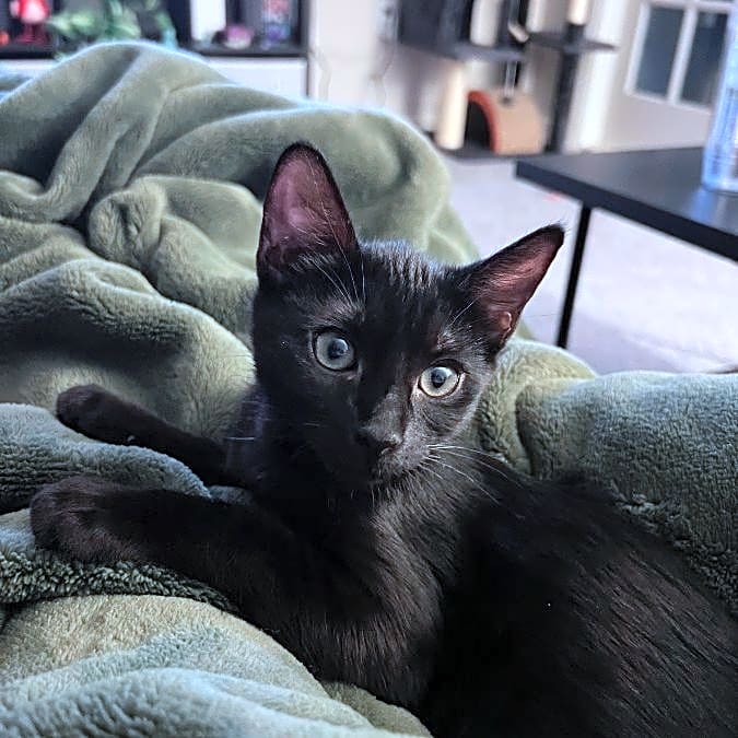 Photo of Ethel