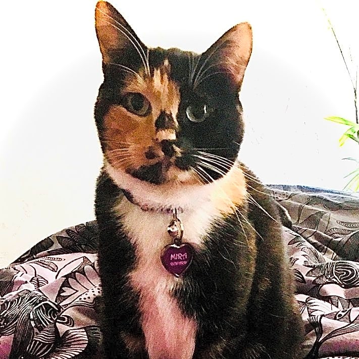 Photo of Mira