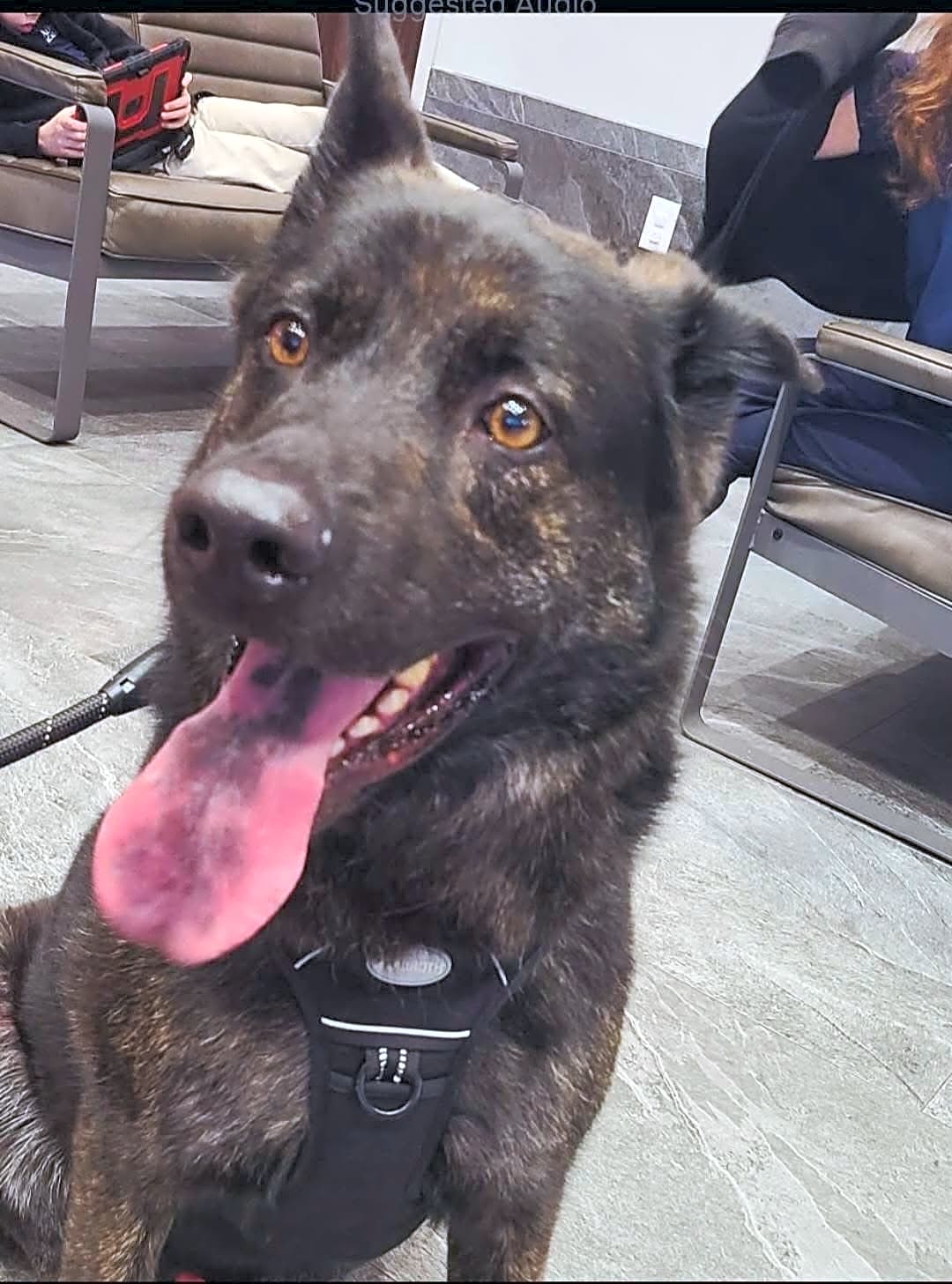 Photo of Remington