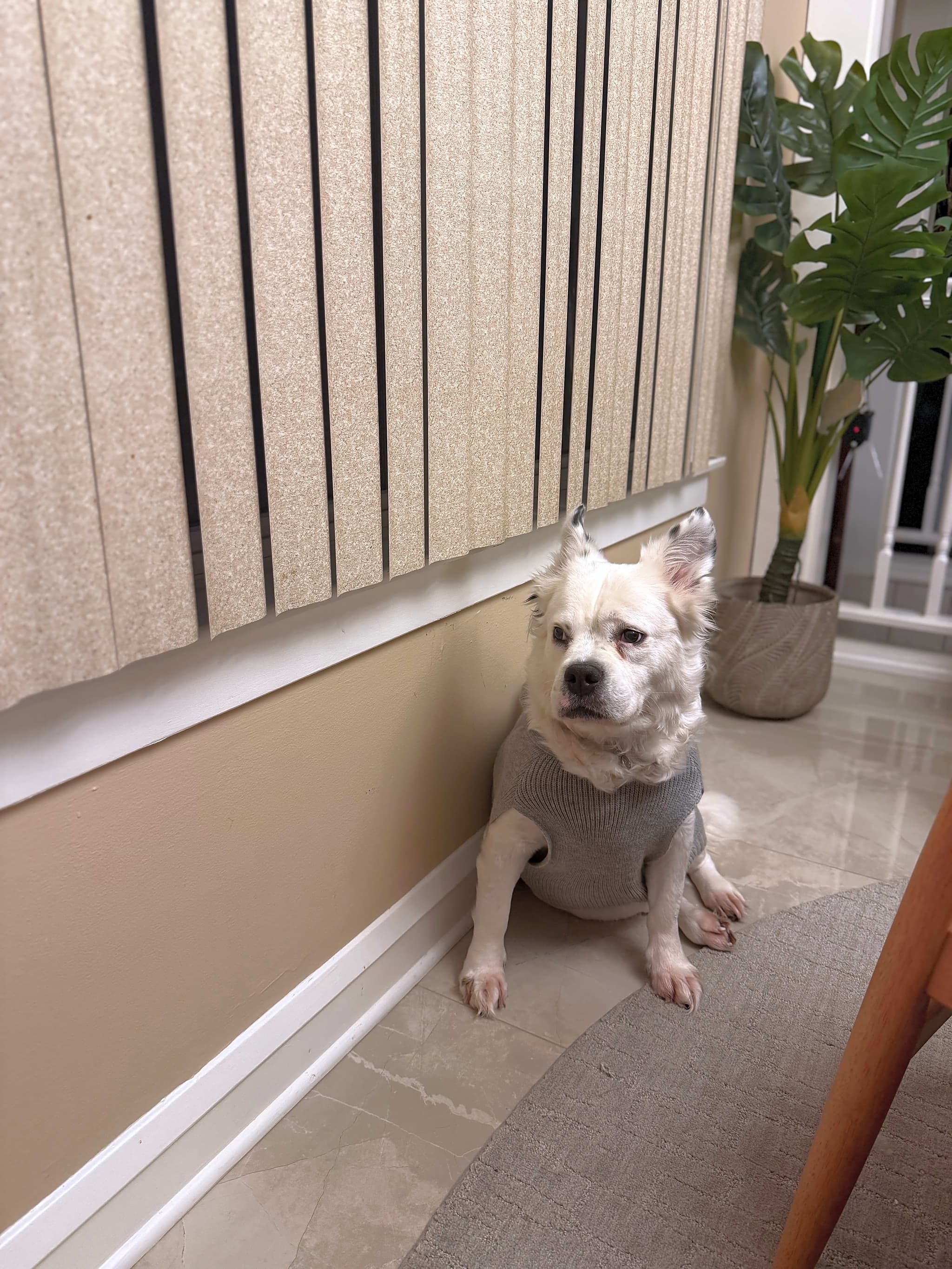 Photo of Lilah