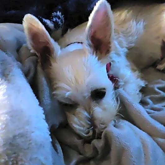 Photo of Isabelle