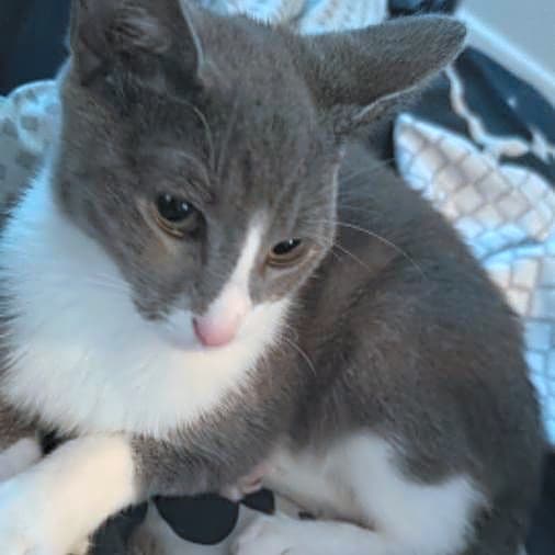 Photo of Storm