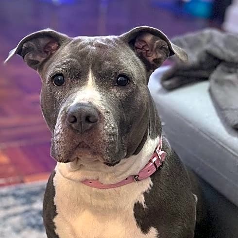 Photo of Reign