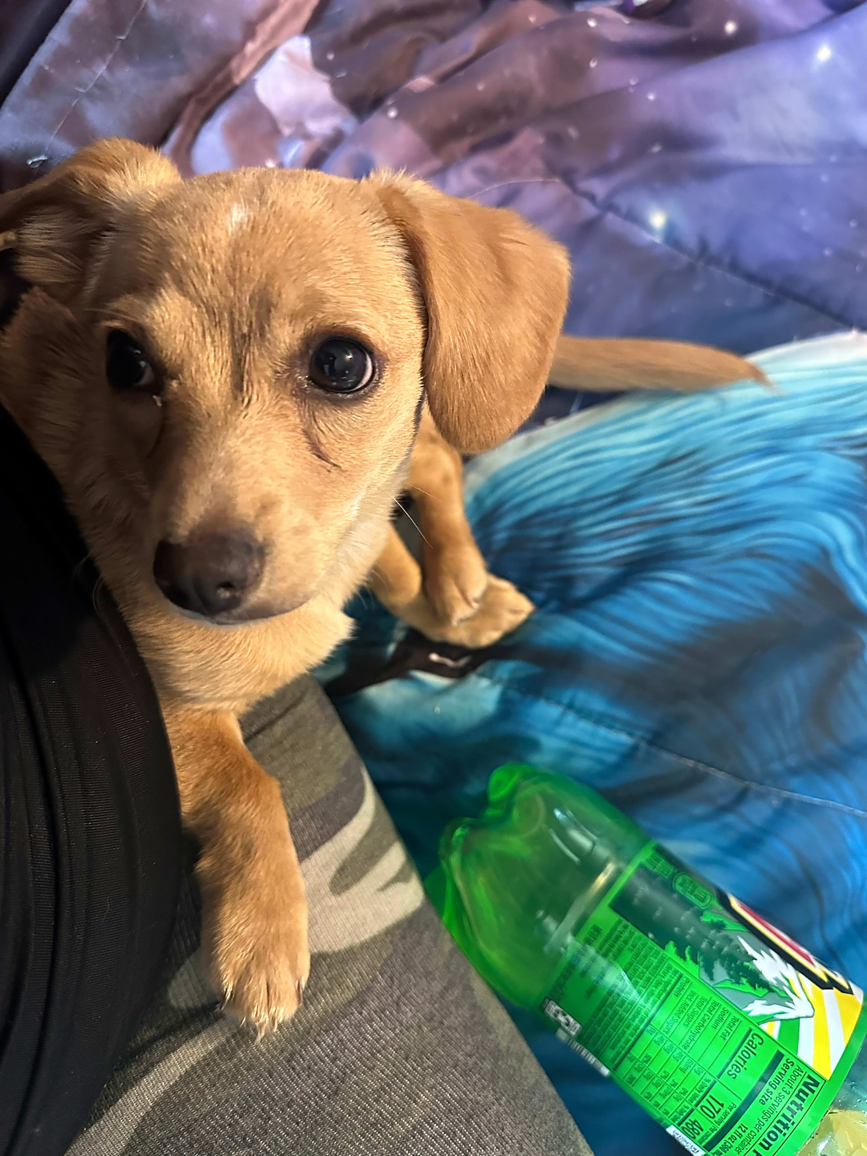 Photo of Billy