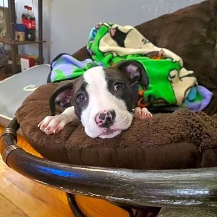 Photo of Sadie Marie