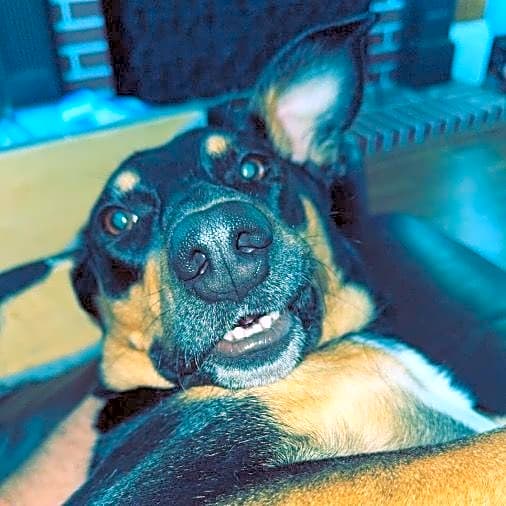 Photo of Xena