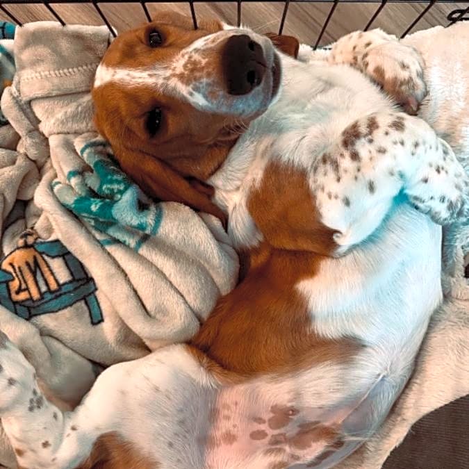 Photo of Maverick