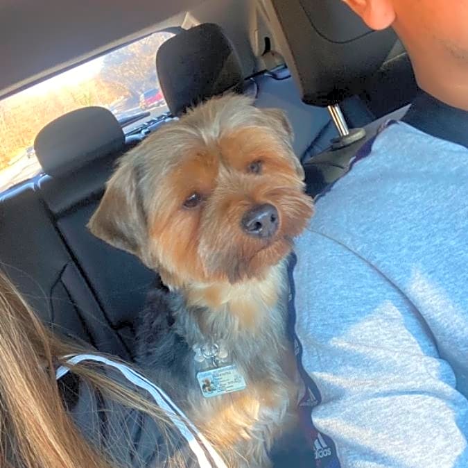 Photo of Cooper