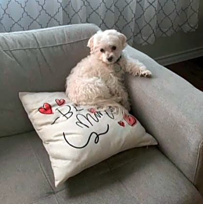 Photo of Frankie