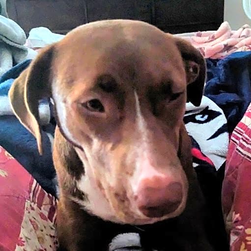 Photo of Lexie