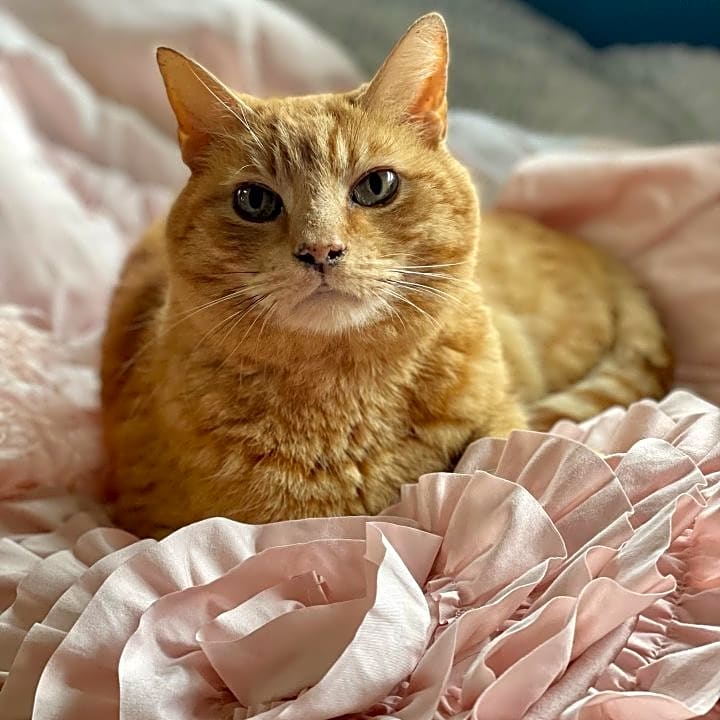 Photo of Kevin