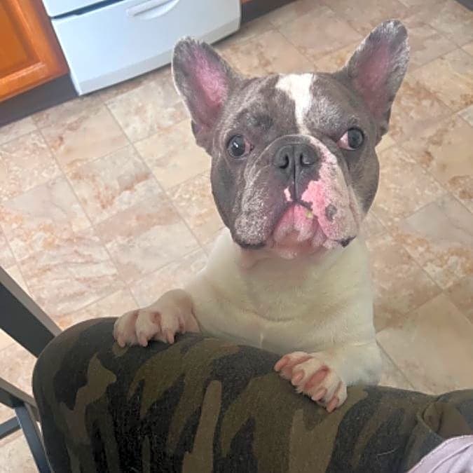 Photo of Chase
