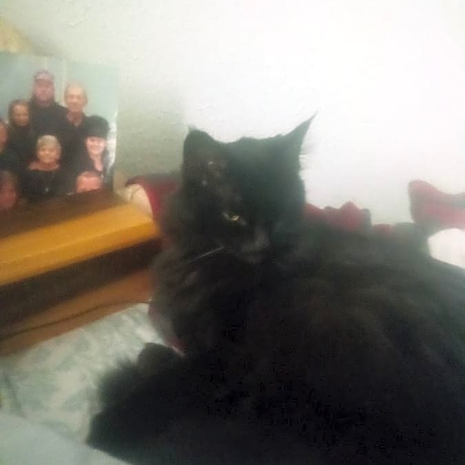 Photo of Midnite