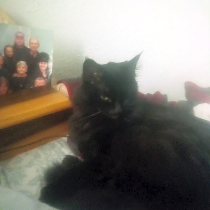 Photo of Midnite