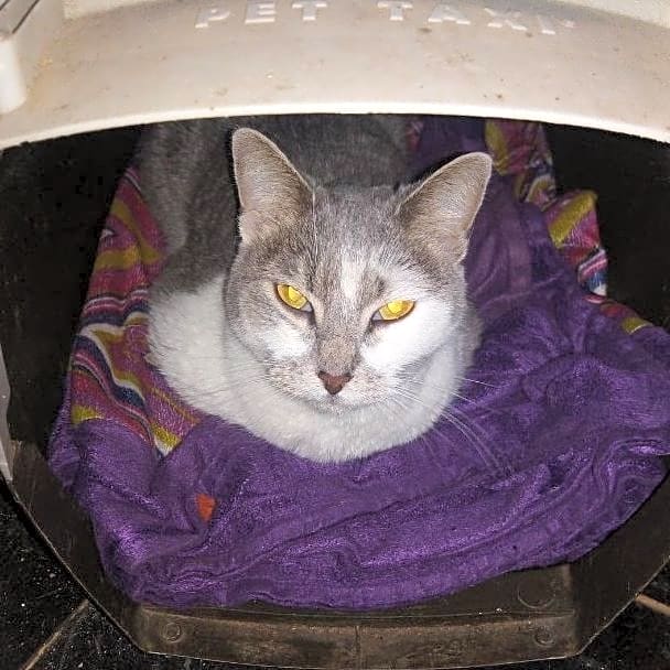 Photo of Sparta
