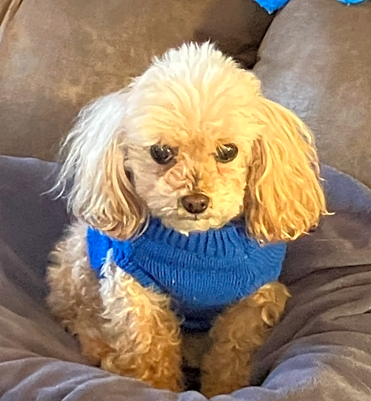 Photo of Jake