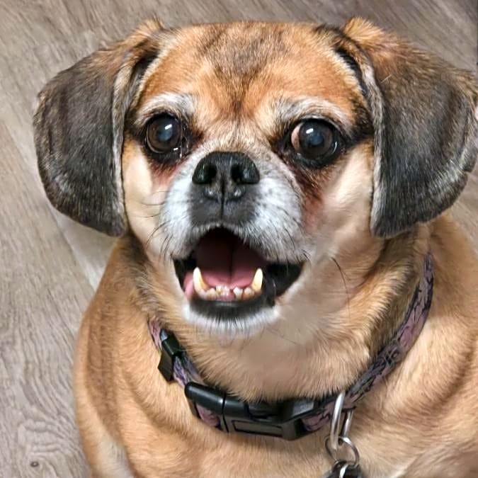 Photo of Lucy