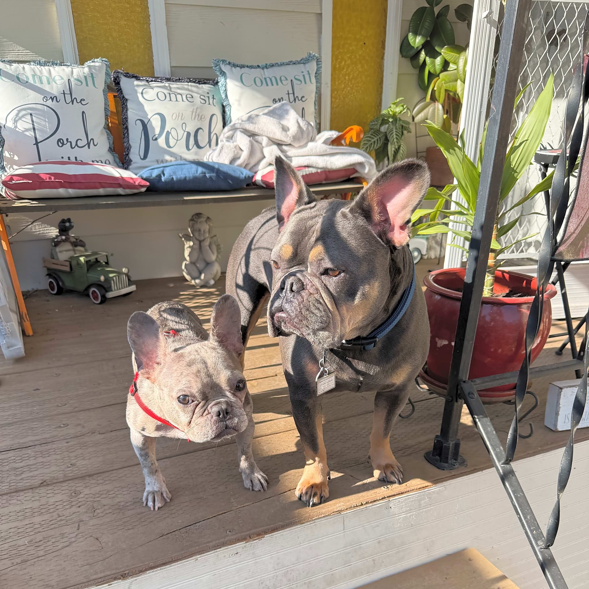Photo of chula