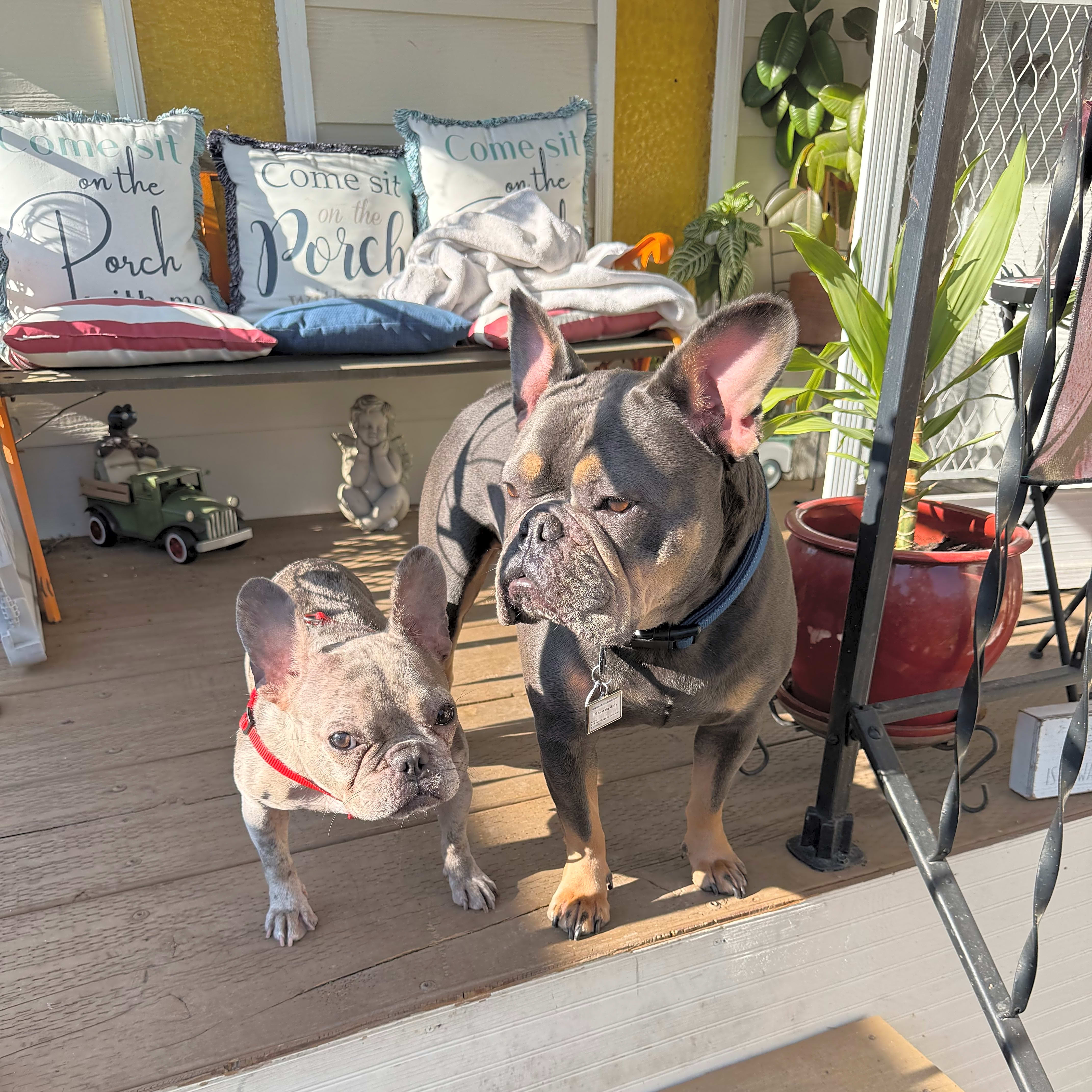 Photo of chula