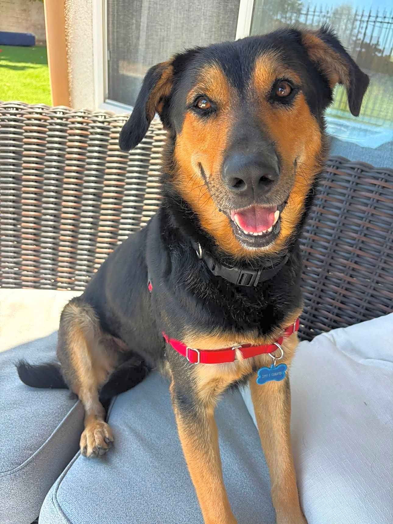 Photo of Jax