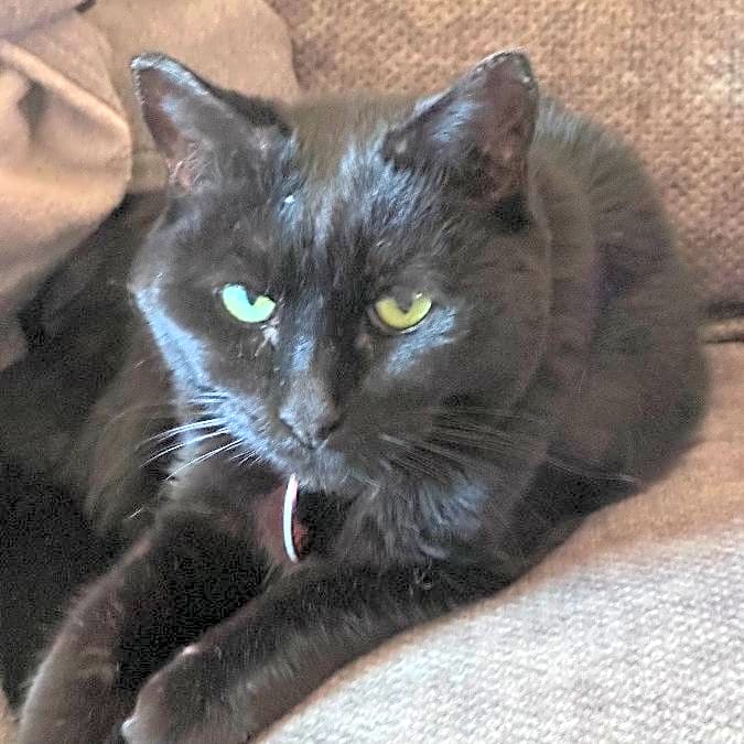 Photo of Raider