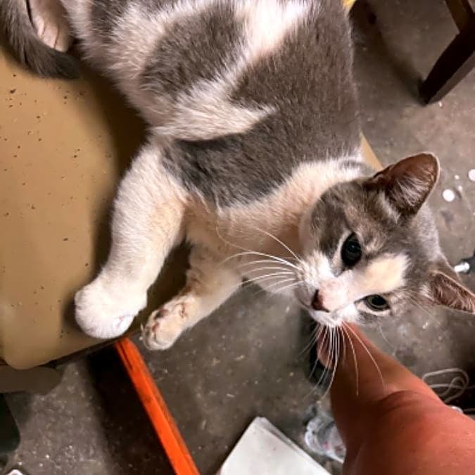 Photo of Kat