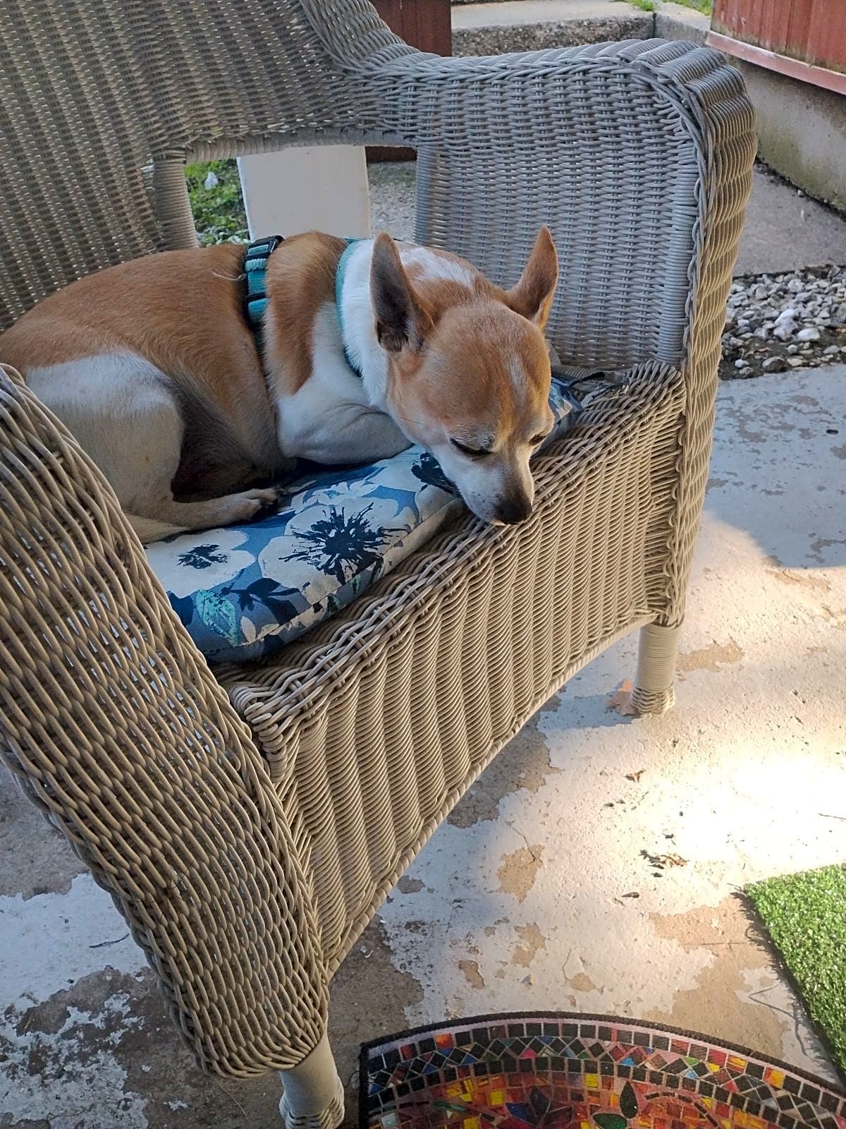 Photo of Trouble