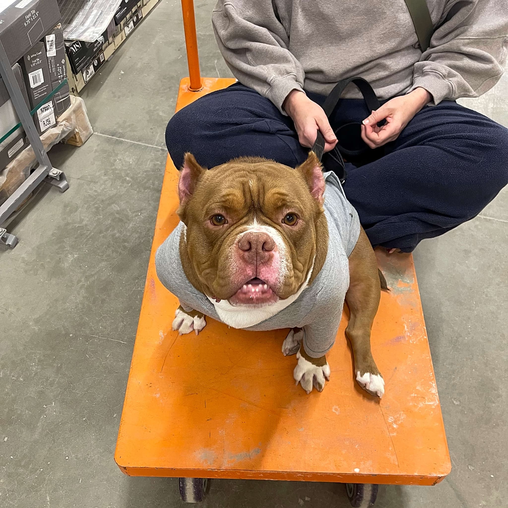 Photo of Gus