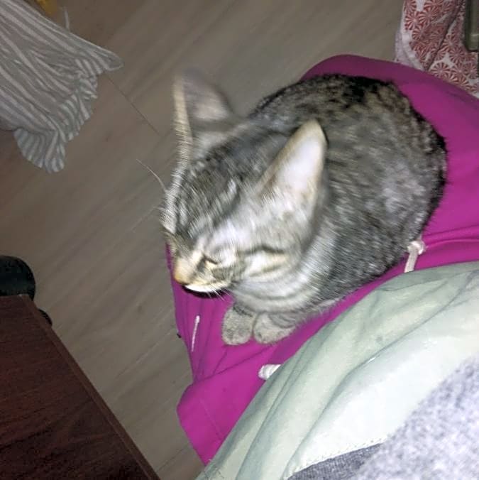 Photo of Babygirl